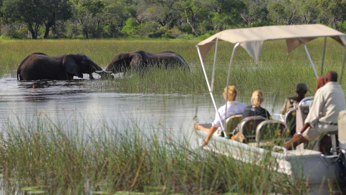 botswana safari