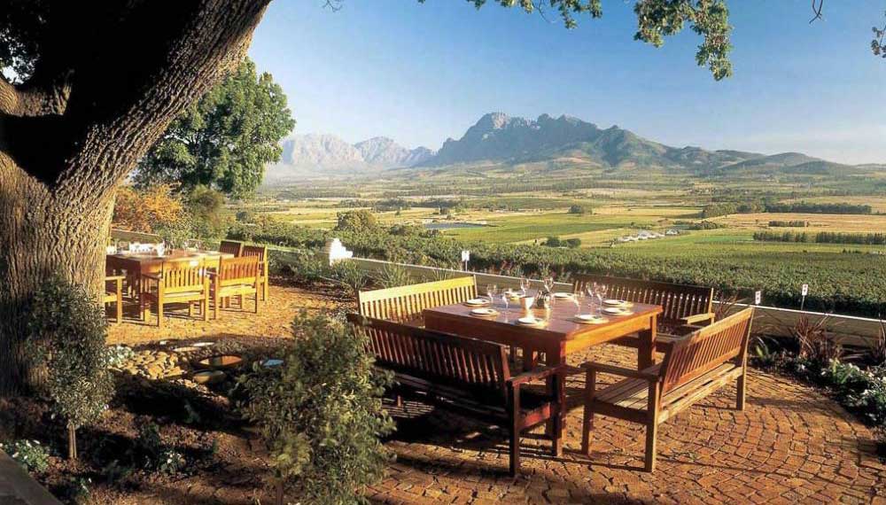 paesaggi bucolici delle winelands in sudafrica