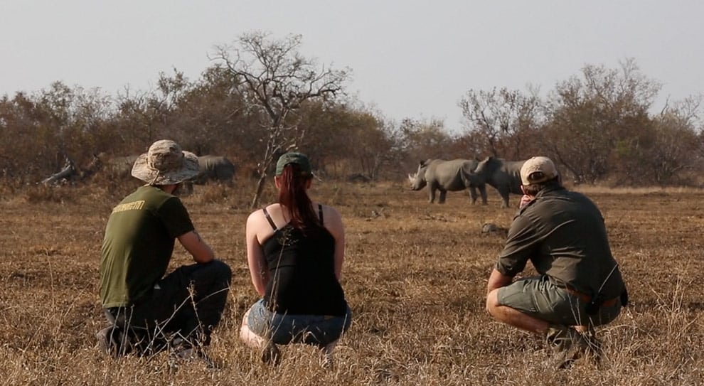 safari a piedi da african on foot nella klaserie game reserve