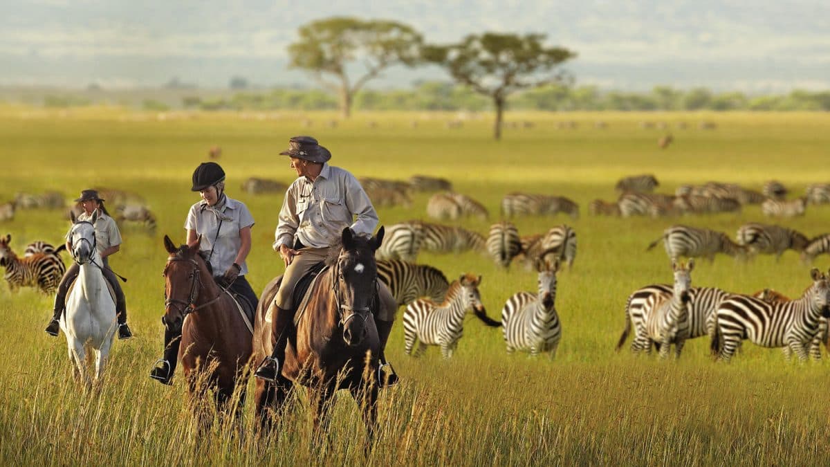 safari a cavallo in sudafrica