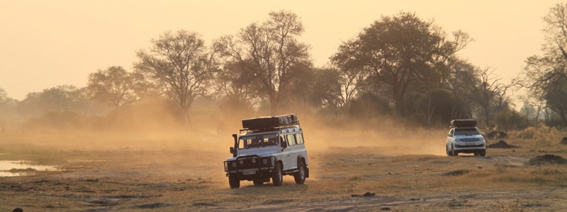 spedizioni in 4x4 nel kgalagadi tra sudafrica e botswana