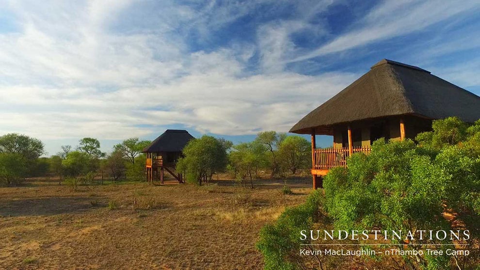 le tende rialzate del nThambo tree camp nella klaserie game reserve