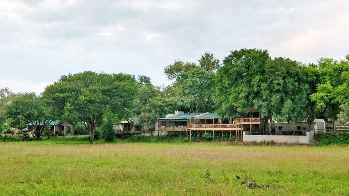 Notten's Bushcamp a sabi sands