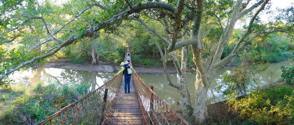 escursione a piedi nella fig forest della umkhuze game reserve in sudafrica