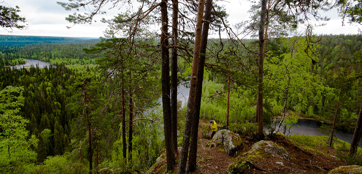 il parco di Oulanka in Finlandia