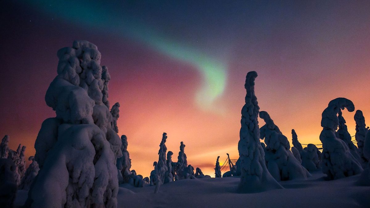 lo spettacolo dell'aurora boreale ammirato dalla foresta innevata di ruka-kuusamo nella finlandia settentrionale