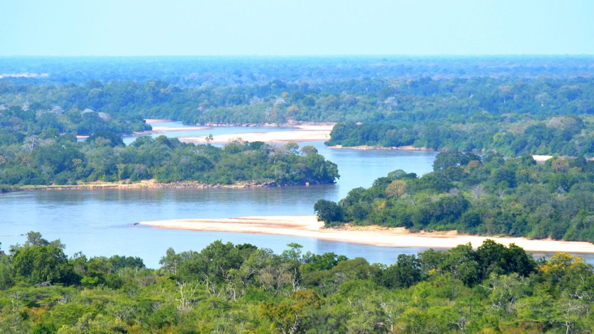vista aerea della selous game reserve, in tanzania
