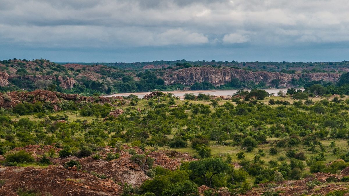 mapungubwe_cover