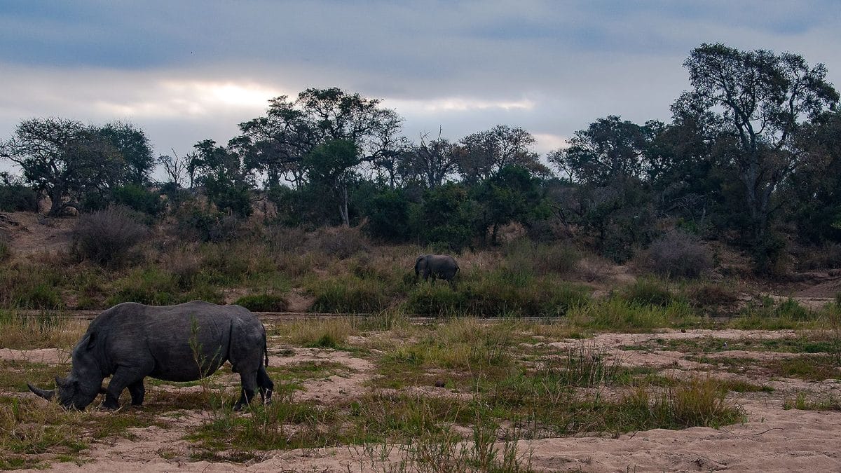 top_5_riserve_private_sudafrica
