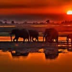 Il Botswana dalla A alla Z.