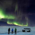 Safari artici: alla scoperta del Grande Nord.